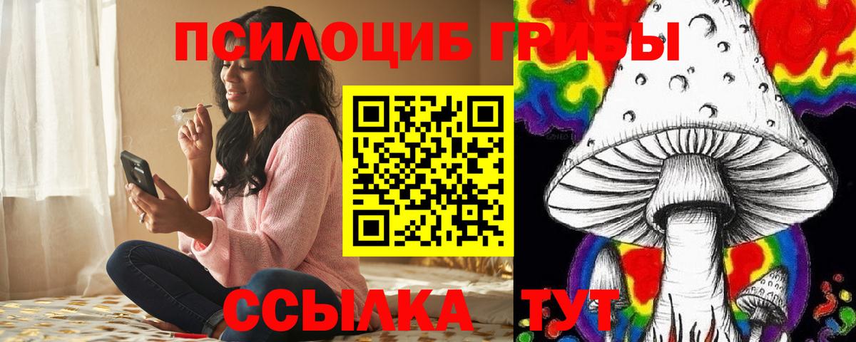 купить наркоту  Чапаевск  Галлюциногенные грибы прущие грибы 